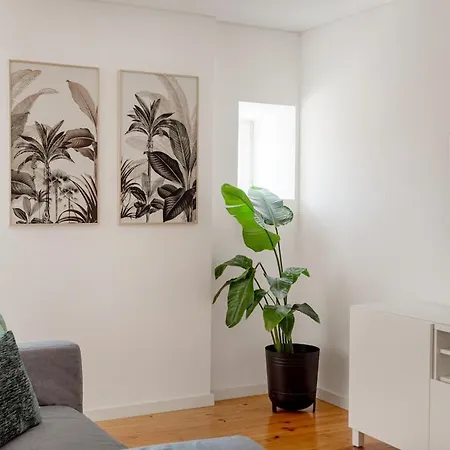 Apartman Olarias Steps | A Mouraria *